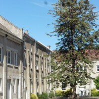 courtyard closeup