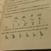 hieroglyphics book detail