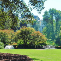 Treasury Garden